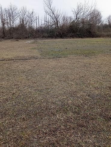 satiliq obyekt: 18 sot, Kənd təsərrüfatı, Makler, Kupça (Çıxarış) — 2