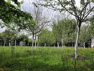 lehis baglari torpaq satilir: 12 sot, Tikinti, Mülkiyyətçi, Kupça (Çıxarış) — 9