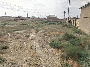 savalan torpag: 6 sot, Tikinti, Kupça (Çıxarış) — 7