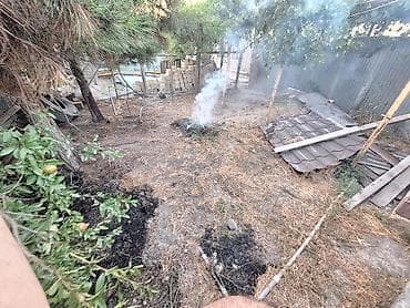 1000 sot, Tikinti, Mülkiyyətçi, Bələdiyyə lalafo.az -da 1000 sot, Tikinti, Mülkiyyətçi, Bələdiyyə