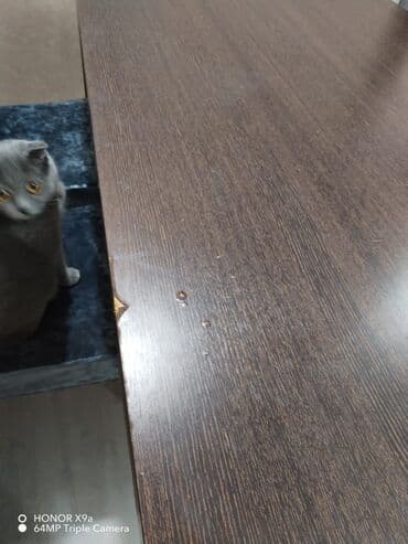 Taburetlər: Qonaq masası, Laminat, Dördbucaq masa — 1