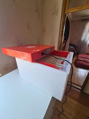 İnkubatorlar: Bütün növ quşlar üçün — 1