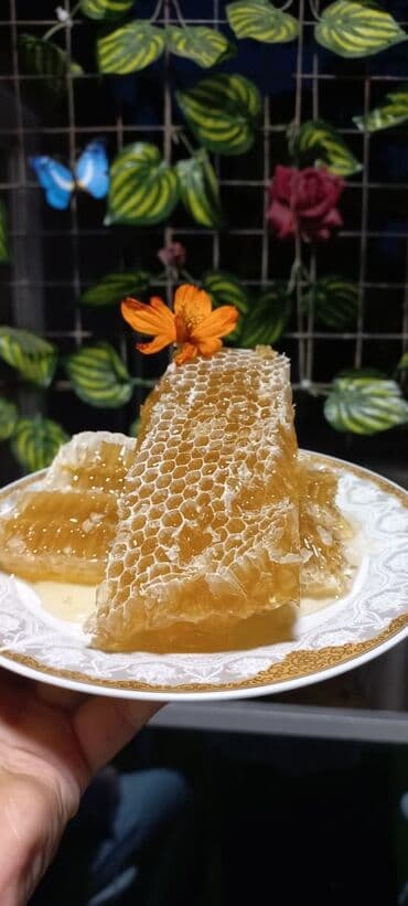 arı balı: Təbii pətək balı – birbaşa çərçivədən - Məhsul: Arı pətəyində mum — 5