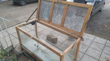 akvarium 120 cm: Təcili satılır — 2