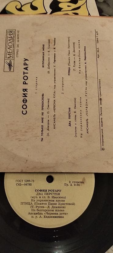 vinil: Qəfəs əla vəziyyətdədir — 2