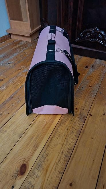 pisik qablari: Dişi — 4