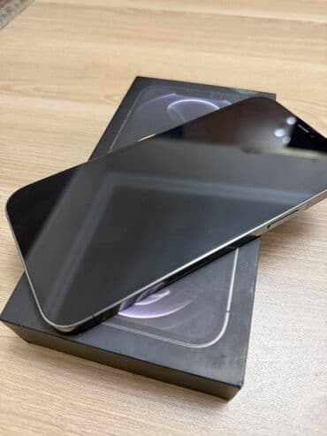 Lincoln: IPhone 12 Pro Max, 128 ГБ, Графит, Face ID — 1