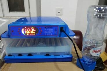 qirqovul: Çin, Fabrik istehsalı, Tam avtomat, Bütün növ quşlaq üçün — 1