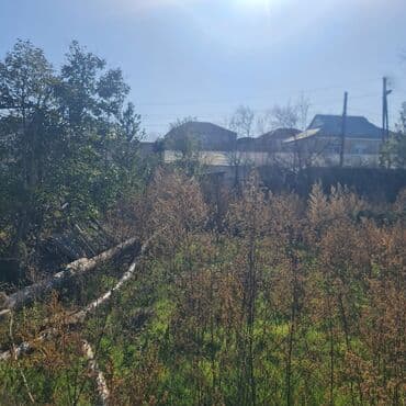 tərtər ev: 18 sot, Tikinti, Barter mümkündür, Kupça (Çıxarış) — 5