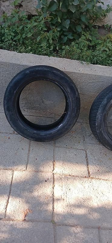 İşlənmiş Şin Lassa 205 / 55 / R 16 — 5