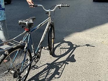sibog velosiped: Şəhər/trek tipli velosiped – Stels 270 (yazısı kadra üzərində görünür) — 2
