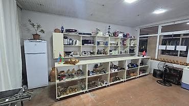 gül qabları: Məişət və təsərrüfat əşyalarının geniş seçimi • Məişət texnikası: - — 3