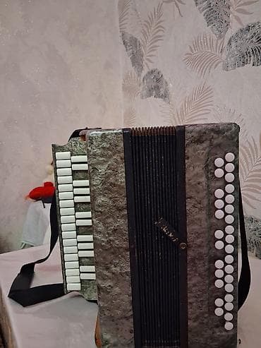 akkardeon: Akustik Akkordeon — 1