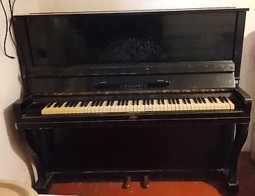dynacord 2: Piano, Belarus, Akustik, İşlənmiş, Ünvandan götürmə — 4
