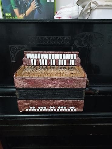 Velosiped aksesuarları: Akustik Akkordeon — 2