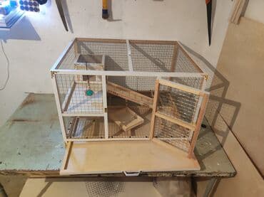 bildircin yuvası: Papuqay,dovşan,hamster,şinşila,bildirçin,cücə,xamyak,pişik,quş,tısbağa — 5