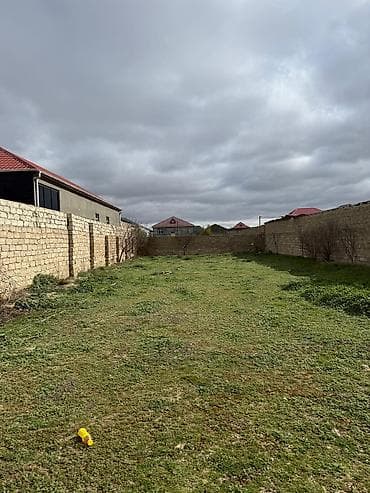 Tikinti, Kupça (Çıxarış)