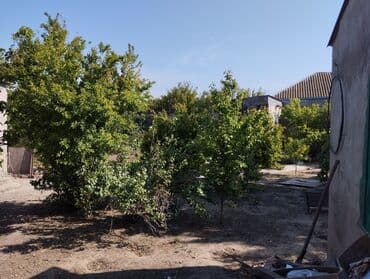 kiraye yer: 150 kv. m, 3 otaqlı, Kombi, Qaz, İşıq — 5