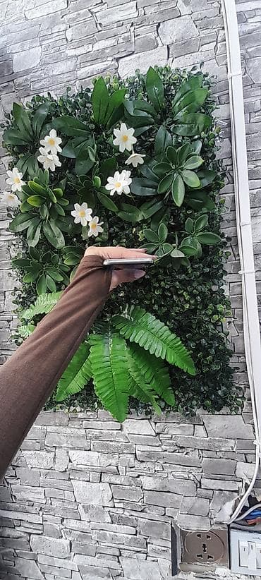 nokia 8800 carbon: IPhone X, 64 ГБ, Белый, Face ID — 5