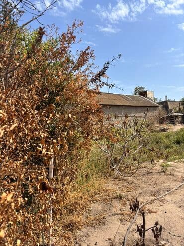 дома в кредит в баку: Satılır: həyət evi və torpaq sahəsi 4 sot torpaq satılır! 120000 azn — 5