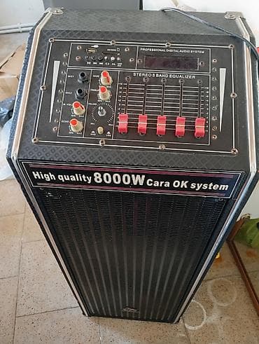 Karaoke/akustik səs sistemi – “Professional Digital Audio System”