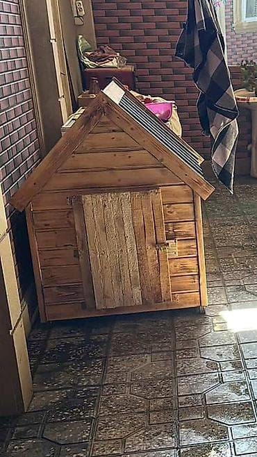 Yataqlar: Taxta it evi - Material: tam ağac (taxta lövhələr), təbii teksturalı — 2