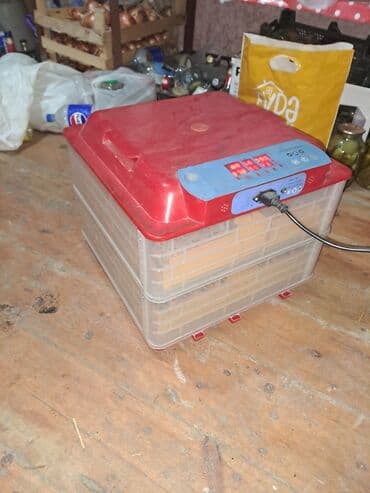 Stasionar telefonlar: Inkubator 112 yumurtalix — 1