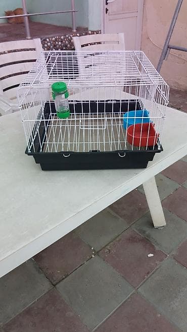 Pişiklər: Клетка для попугаев,размеры-46×46см,высота-33см.кормушки и поилка в — 1