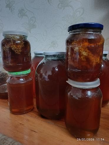 karpat ana arı: Tam təbii bal Dağ və meşə balı var Şəki balıdır Şabalıd cökə — 3