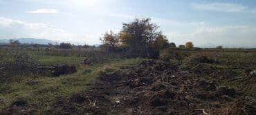 lalafo долгосрочная аренда квартир: 15 соток, Для сельского хозяйства — 3