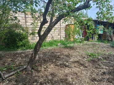 meyve tərəvəz: RT Arxasında körpüdən sağda 2 ci küçədə 2 mərtəbəli 8 otaqlı həyət evi — 42