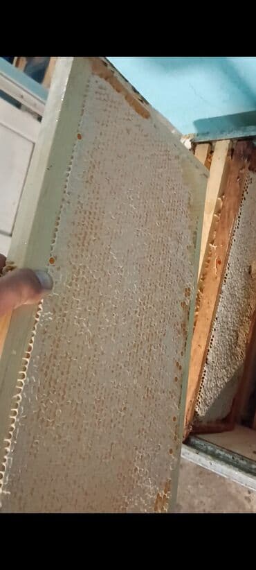 дистиллированная вода баку: Salam .Təcili pul lazim olduğu üçün çox ucuz qiymətə verirəm.Balin — 5