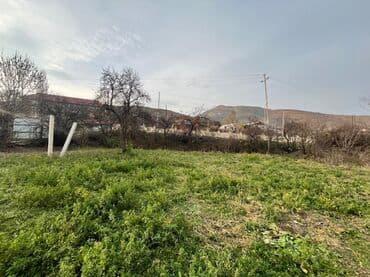 lenkaranda torpaq: 20 sot, Kupça (Çıxarış) — 8