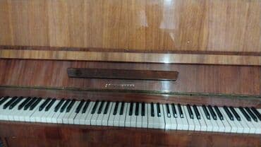 weinbach пианино: Upright (şaquli) pianino - Tam ölçülü 88 klavişli klaviatura - Parlaq — 1