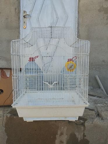 dövsan: Quş qəfəsləri – müxtəlif ölçülərdə və rənglərdə Təsvir: - Dörd ədəd — 4