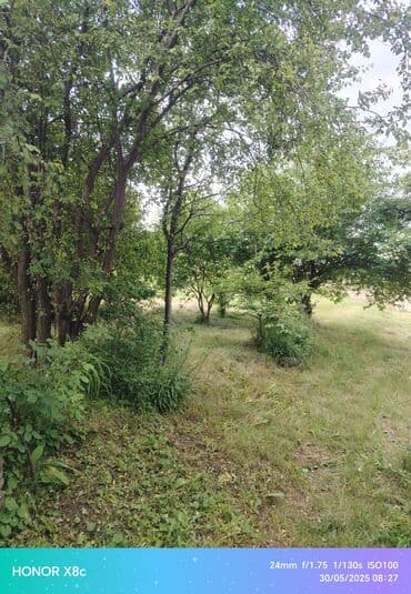 qalada xasaxunada ev torpaq: 9 sot, Kənd təsərrüfatı, Barter mümkündür, Kupça (Çıxarış) — 8