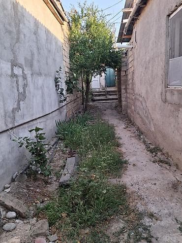 xaçmaz motoblok satışı: Xırdalanda 2otaqlı 2.5 sot torpaqda ev satılır.meyve ağacları var — 4