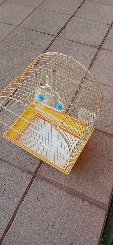 cücə qəfəsi: Quş qəfəsi – yarımdairəvi üst hissəli, metal barmaqlıqlı model — 5