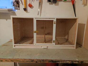 quş qəfəs: Papuqay,dovşan,hamster,şinşila,bildirçin,cücə,xamyak,pişik,quş,tısbağa — 1