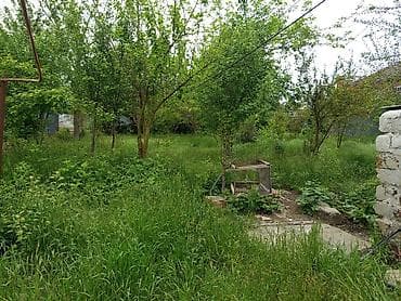 torpag: Tikinti — 2