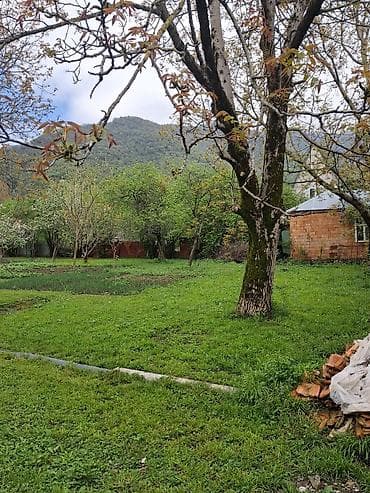 bine qesebesi torpaq satilir: 4 sot, Tikinti, Mülkiyyətçi, Kupça (Çıxarış) — 1