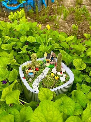 gul qablarinin satisi: Mini bağ kompozisiyası – sukulent/kaktus terrariumu - Üçbucağa yaxın — 2