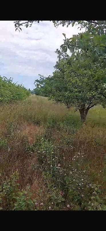 bolt hansi masinlari qebul edir: 150 sot, Biznes üçün, Barter mümkündür, Kupça (Çıxarış) — 6