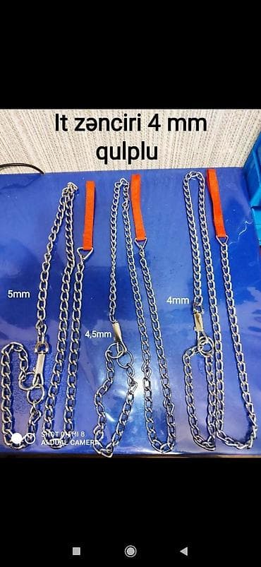 itlerin satisi sayti: Zencir it üçün — 1