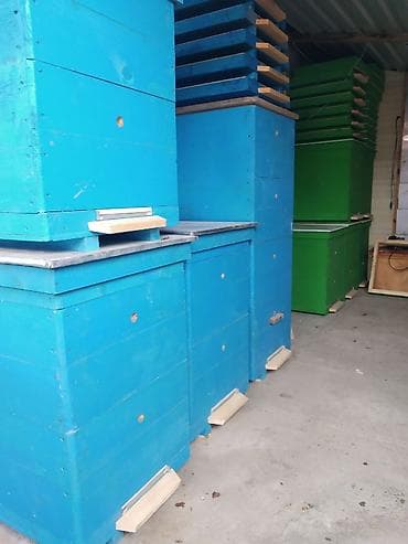 hinduska cucesi satilir: Arı yeşikləri. Hər növ arı yeşikləri, ramkalar. Lejat, dadan, 10 — 3