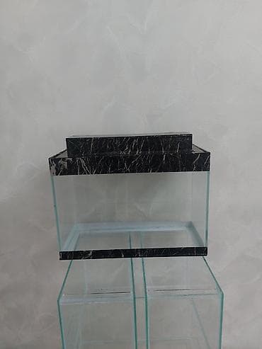 it yuvası satilir: Şüşə akvarium – dekorativ “dollar” fonlu - Material: qalın temperli — 4