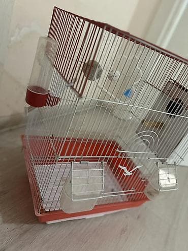 heyvan döşəyi: Quş qəfəsi – aksessuarlarla - Rəng: qırmızı-ağ - Material: metal — 2
