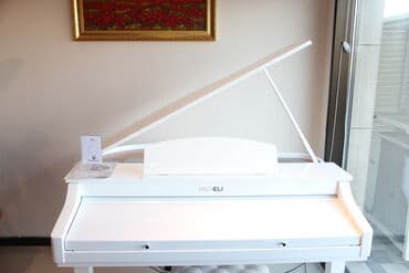 yamaha piano qiymeti: Elektro Royal. Aletlere resmi zemanet verilir. Etrafli melumat ucun — 1