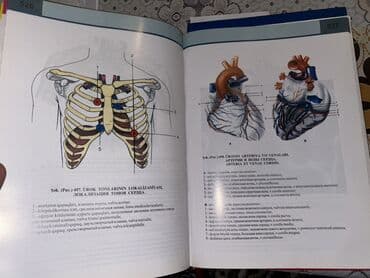 atlas koynekler: Məhsul: “İnsan Anatomiyası Atlası” – 3-cü nəşr - Müəlliflər: V.B — 5