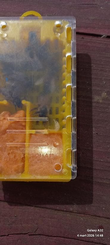 Ana arı 2024cu ilin.Unvan Lənkəran — 2